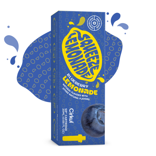 Squeeze Blueberry Lemonade | Core Style